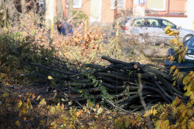 Mieszkańcy Radogoszcza Wschodu liczą na unieważnienie decyzji o wycince drzew przy ul. Świtezianki, która rozpoczęła się maju CZYTAJ
