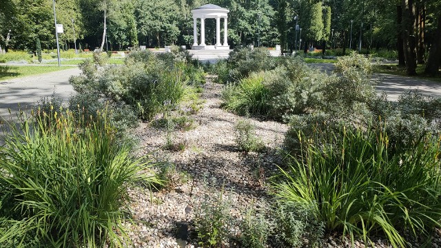 Park Zielona w Dąbrowie Górniczej zaprasza na wakacyjne spacery i wypoczynek Zobacz kolejne zdjęcia/plansze. Przesuwaj zdjęcia w prawo naciśnij strzałkę lub przycisk NASTĘPNE