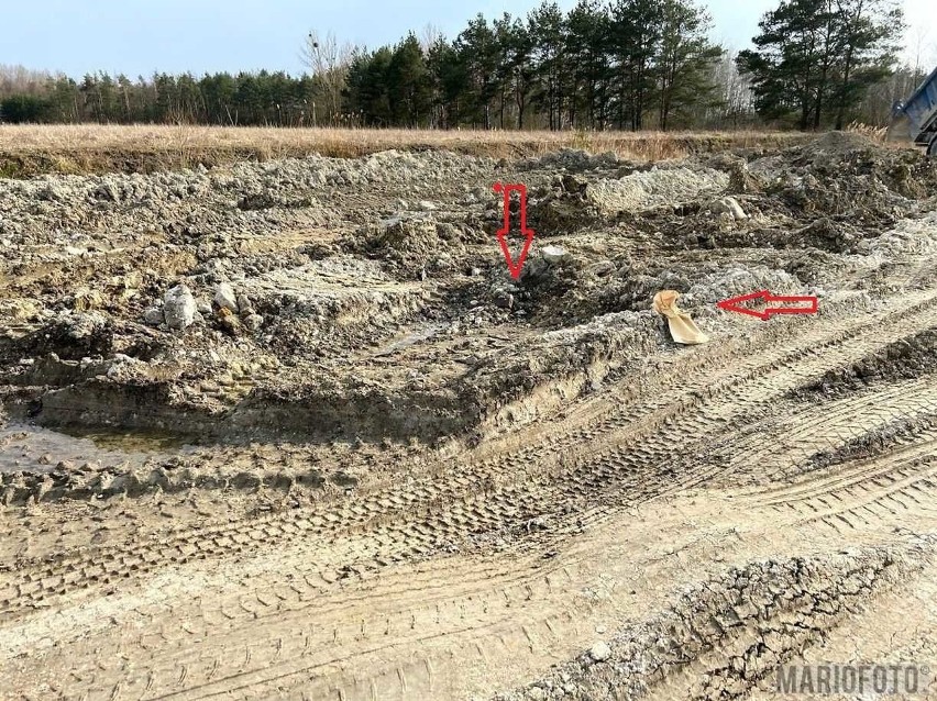 Ludzkie szczątki znalezione w Opolu. Zauważył je kierowca...