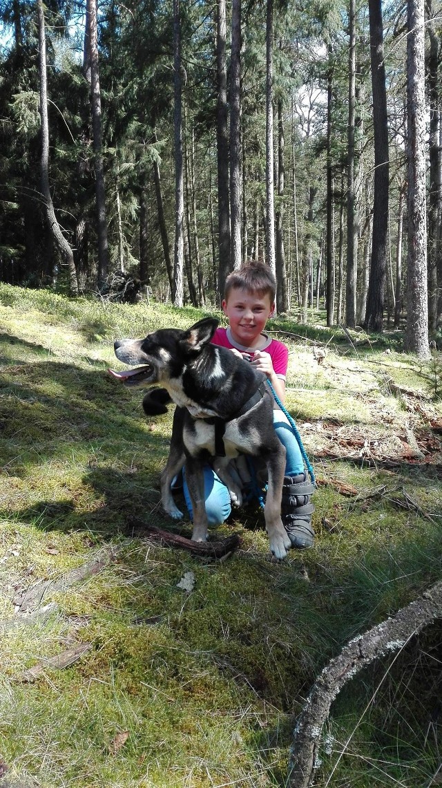 Dziesięciolatek uratował psa. Teraz szuka dla niego domu.