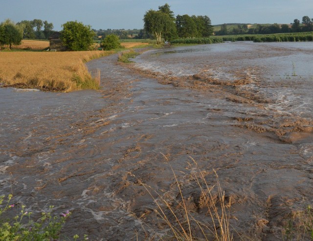 Dzięki budowie zbiornika, w Jakubowicach chcą uniknąć takich sytuacji