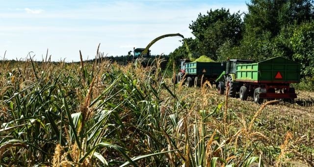 Rolnicy wciąż czekają na "protokoły suszowe"