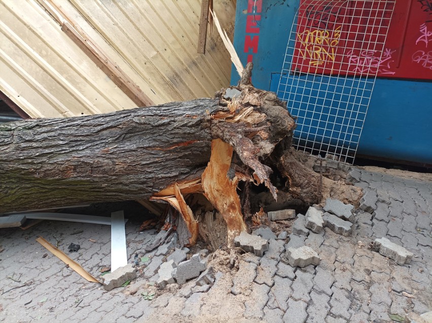 Powalone przez wiatr drzewo zniszczyło stargany na bazarku przy Opałku