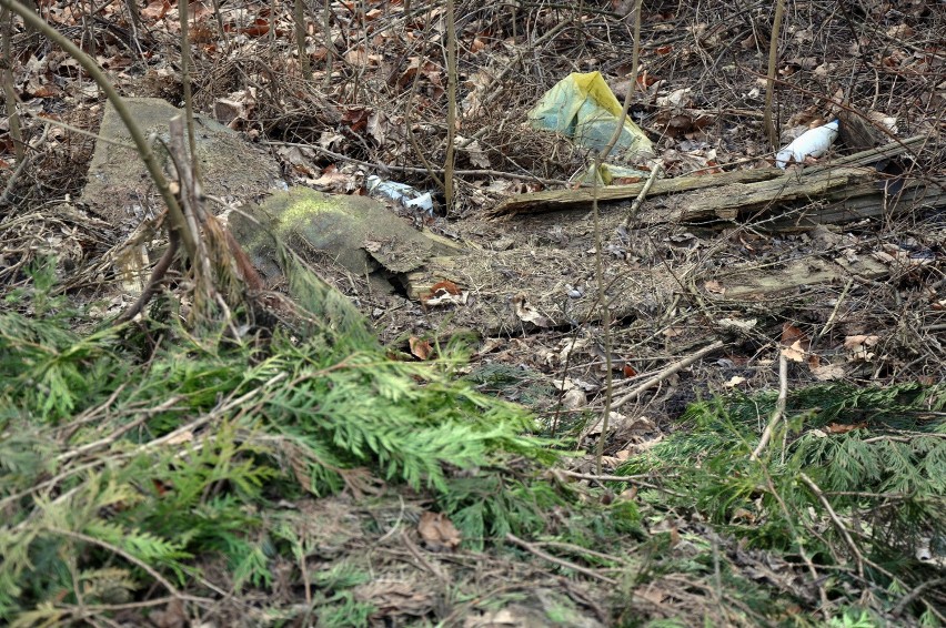 Kraków. Internauci zainicjowali wielkie sprzątanie dawnego obozu Płaszów [ZDJĘCIA]