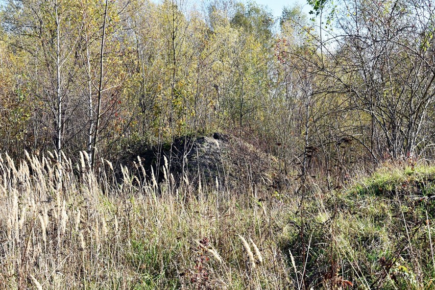 Gorlice. Dzisiaj na ranem na terenie nieczynnej cegielni na Korczaku znaleziono ciało mężczyzny 21.02.
