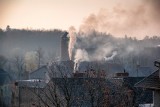 Opolanie palą w piecach czym popadnie. Na wsi zapach dymu jest już nie do wytrzymania