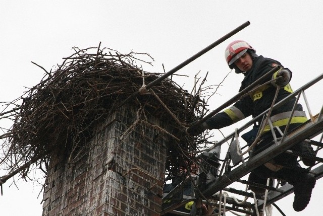 Resztki gniazda zdjęli z komina i zamontowali na platformie strażacy Łukasz Sienkowski i Piotr Magryn.
