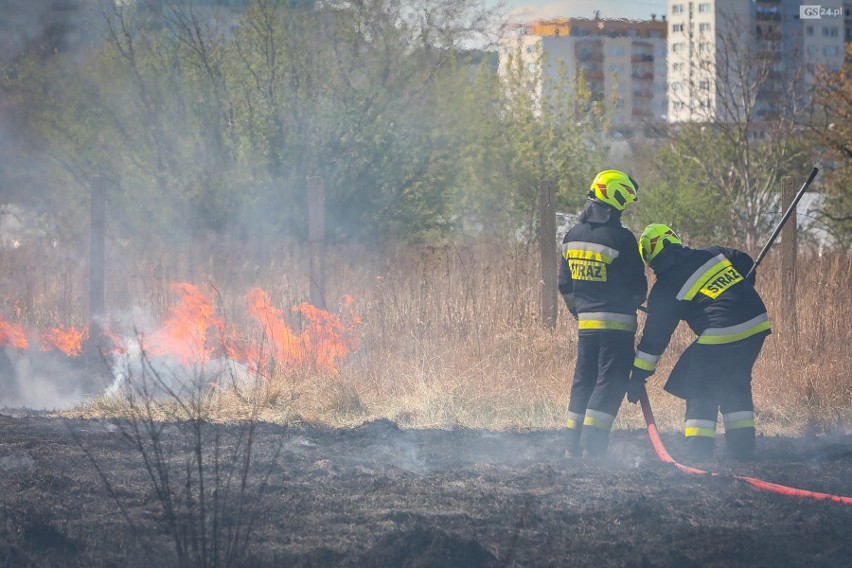 Akcja straży pożarnej na ul. Turkusowej. Pożar traw
