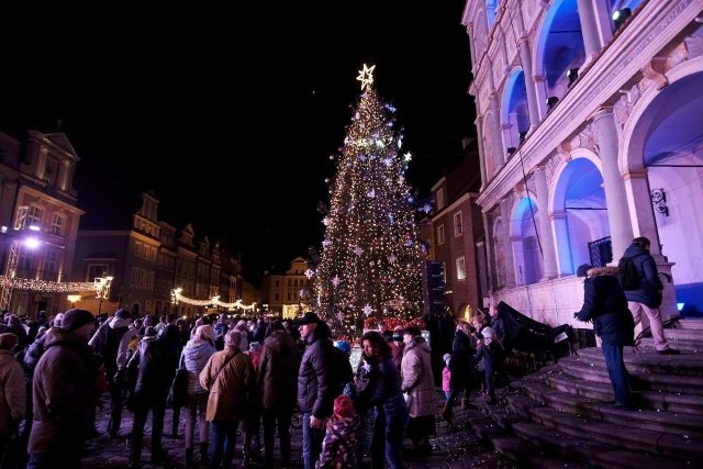Tłumy poznaniaków przyszły na Stary Rynek, aby zobaczyć, jak będzie się prezentować świąteczna choinka.