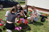 Kilkaset kwiatów otrzymały w prezencie Domy dla Dzieci i Młodzieży w Łoniowie. Otoczenie będzie tonęło w różnych barwach. Zobaczcie zdjęcia
