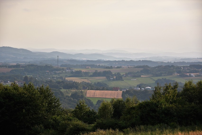 Góra Kokocz. Wzniesienie na pograniczu Lubczy, Woli...