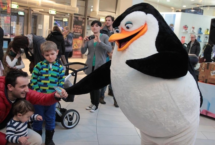 Pingwiny z Madagaskaru wylądowały w Krakowie [ZDJĘCIA]