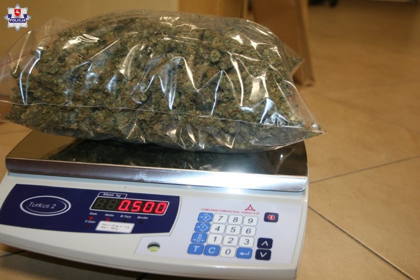 Narkotyki w mieszkaniu w Lublinie. Policjanci przejęli marihuanę wartą dwa miliony złotych (ZDJĘCIA, WIDEO)