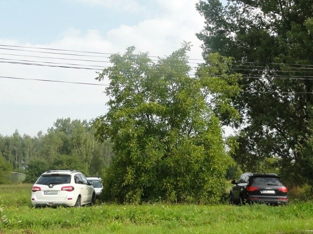 Tak się parkuje w rejonie giełdy samochodowej w Rzesdzowie