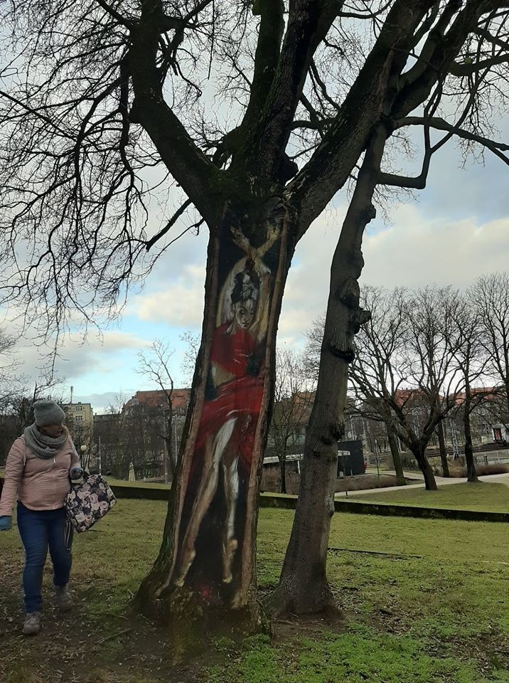 Poznań: Jednak uda się uratować drzewa z parku Wieniawskiego od wycięcia - radni osiedlowi dadzą pieniądze na ich ratowanie