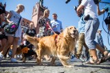 Joanna Krupa w Słupsku. Piknik pod Basztą Czarownic (wideo, zdjęcia)