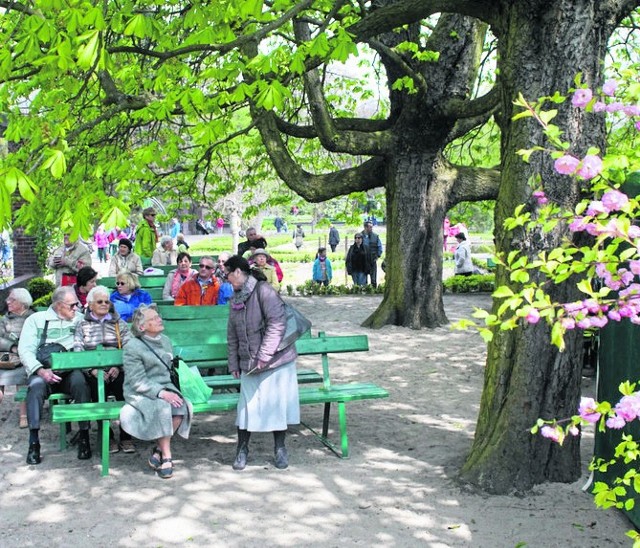 Koło Przewodników PTTK im. Marcelego Mottego w Poznaniu zaprasza na przechadzkę po ogrodzie botanicznym