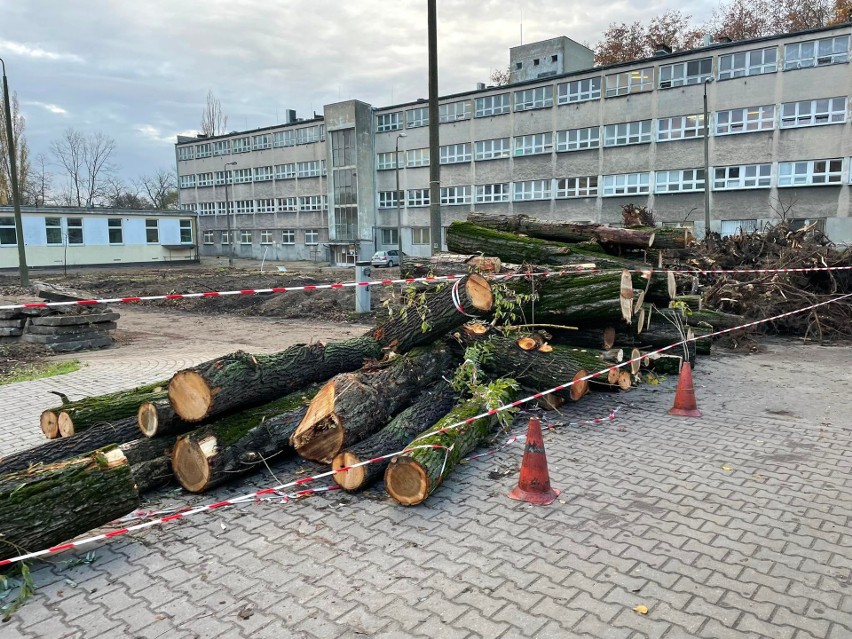 Szpital otrzymał zezwolenie na wycinkę 42 drzew do końca...