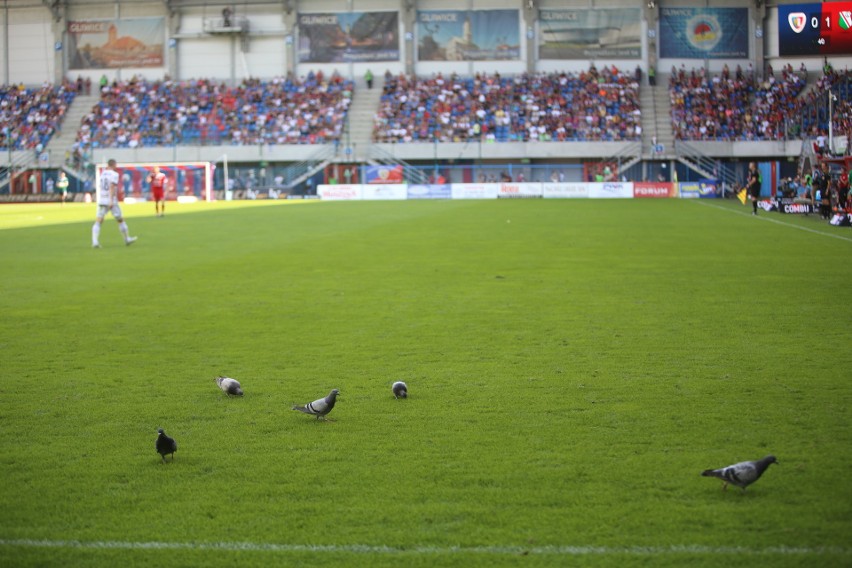 Piast Gliwice - Legia Warszawa 1:3