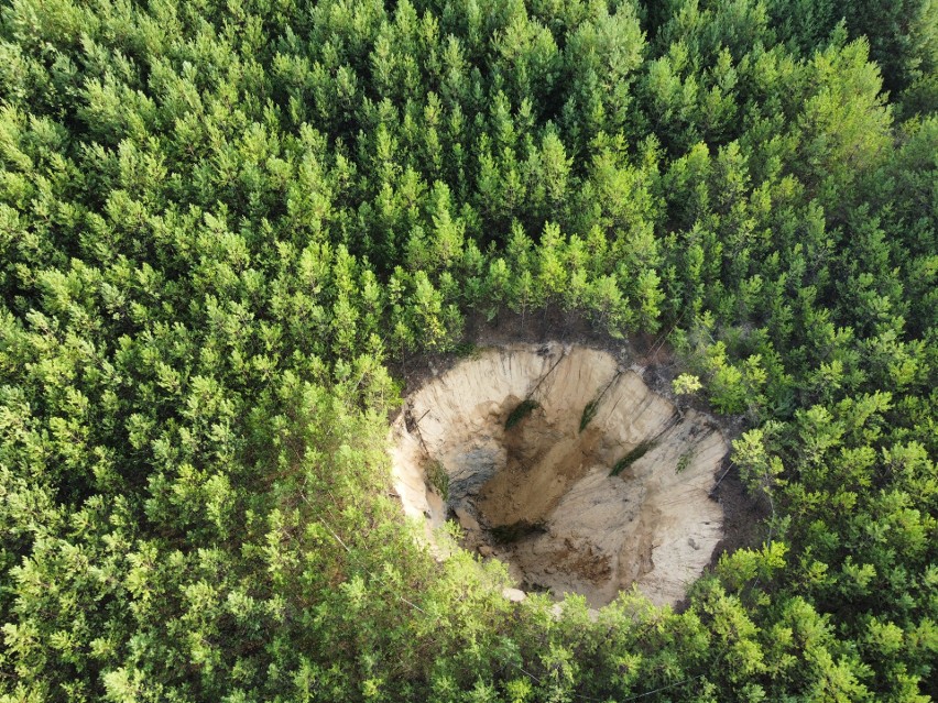 Zapadlisko w pobliżu jeziorka Piaski w Olkuszu