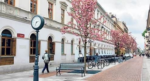 Miasto przyszłości, łódzka ulica 6 Sierpnia: kawiarniane ogródki, spowolniony ruch samochodów, deptak i japońskie wiśnie