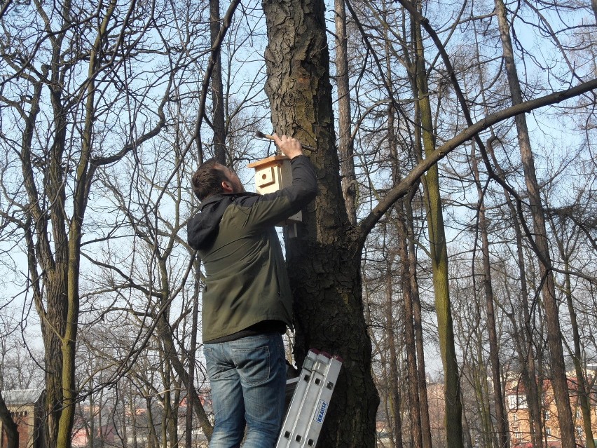 Piekary Śląskie: na pomoc ptakom [WIDEO + ZDJĘCIA]