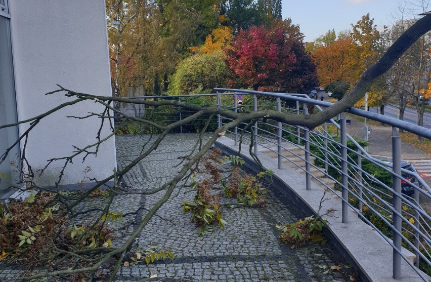 Do bardzo niebezpiecznej sytuacji doszło w czwartek, 21...