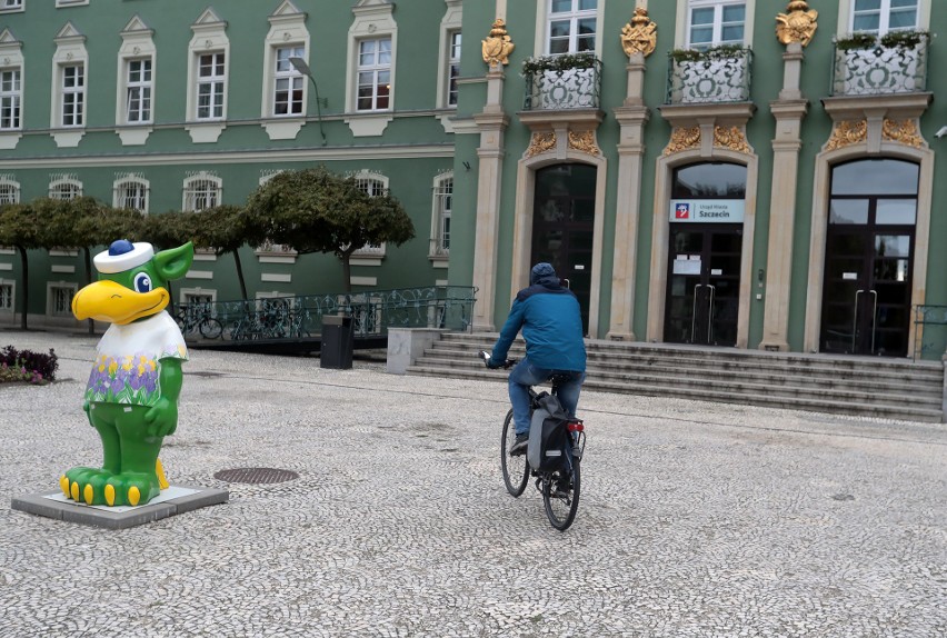 Szczecin. Urzędnicy magistratu zaczną jeździć rowerami? Jest taki pomysł 