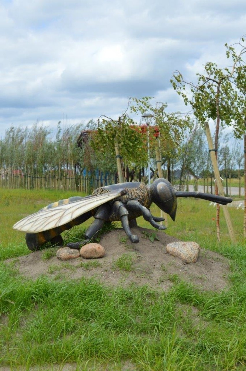Co się stało ze skrzydłami pszczoły w Parku Brzozowym w Pszczółkach? Symbol gminy padł ofiarą wandali