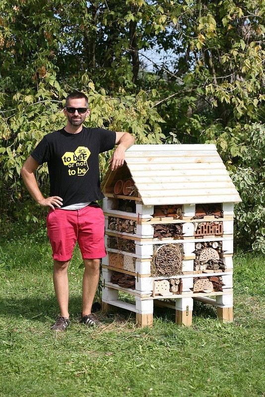 Wrocław: Greenpeace zbuduje hotele dla pszczół i biedronek [ZDJĘCIA]