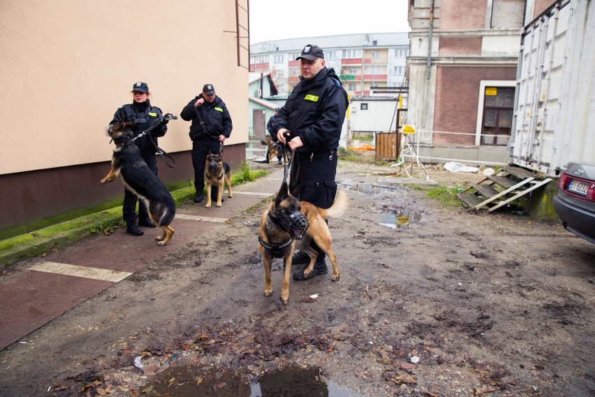 Policyjne psy szukały bomby na dworcu PKP w Białymstoku