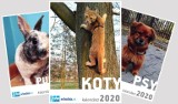 Już dziś tylko z "Echem Dnia" wyjątkowy kalendarz KOTY 2020! 