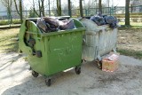 Mieszkańcy gminy Koluszki wyprodukowali tysiące ton śmieci