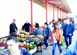Na targowisku Przy Śląskiej w Radomiu w sobotę 7 maja można było kupić wiele pięknych kwiatów na taras i do ogrodu. Zobacz zdjęcia