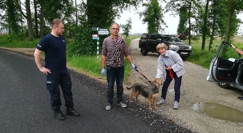 83-letni mężczyzna z Rytla tonął w bagnie. Pies zaalarmował mieszkańców i czuwał przez trzy dni [zdjęcia]