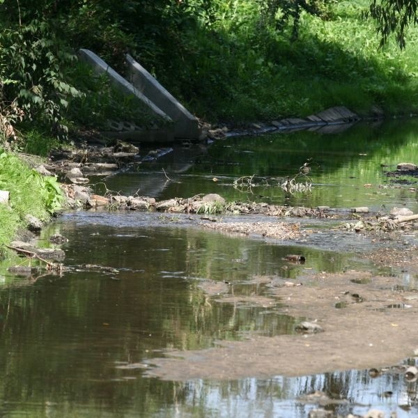 Koryto Silnicy w Kielcach jest zaniedbane, ale to ma się zmienić.