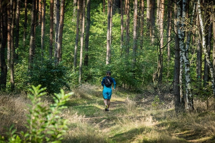 Niedzielny Maraton Puszczy Bydgoskiej odbył się na dystansie...