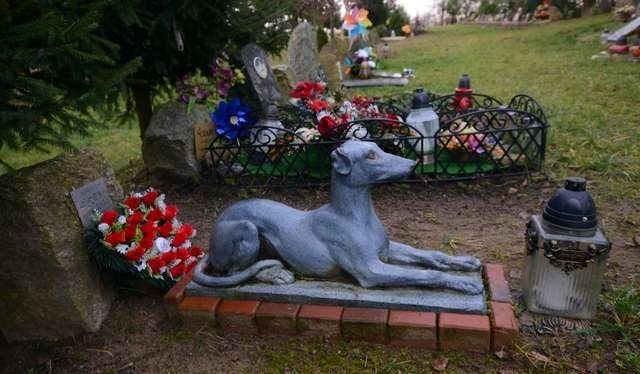 Na cmentarzu w Mochlu spoczywa około 1000 zwierząt