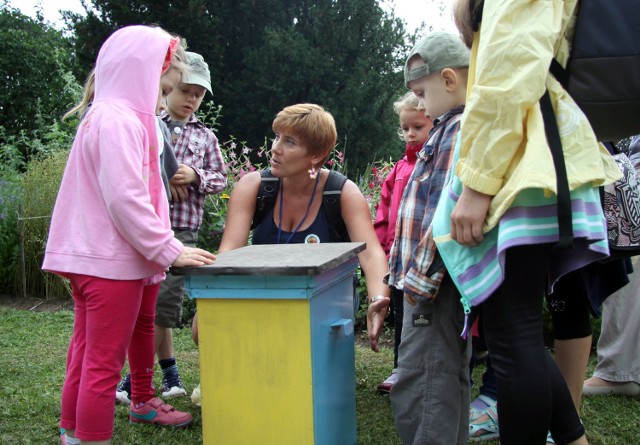 Dr Aneta Sulborska z Uniwersytetu Przyrodniczego pokazuje dzieciom wnętrze ula. W środku nie ma pszczół.