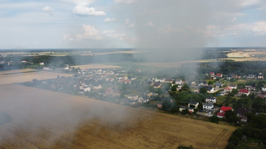Pożar pola niedaleko Szymiszowa pod Strzelcami Opolskimi.