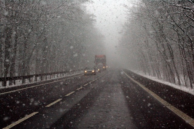 Śnieg we Wrocławiu.