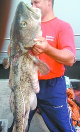 Konkurs na rybę 2011 roku. Dorsz nie pokonał wędkarza