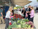 Świeże warzywa i owoce na giełdzie w Sandomierzu. Jakie ceny? [ZDJĘCIA]