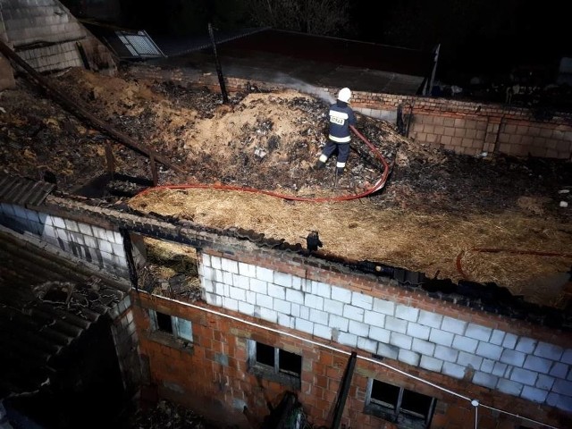 W nocy w miejscowości Parzęczewo w powiecie grodziskim wybuchł pożar. Ogień pojawił się w oborze, w której znajdowało się kilkadziesiąt sztuk bydła.Zobacz więcej zdjęć ----->