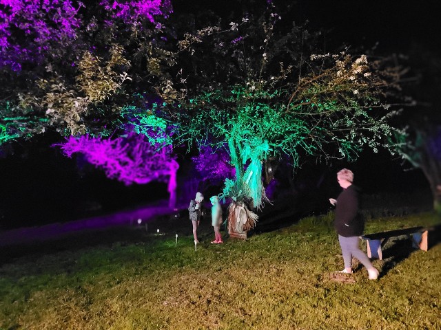 W Parku Etnograficznym „Pod Kogutem w Dąbiu”  otwarto iluminacje świetlne w kwitnącym sadzie - NOCNE WIDZIADŁA