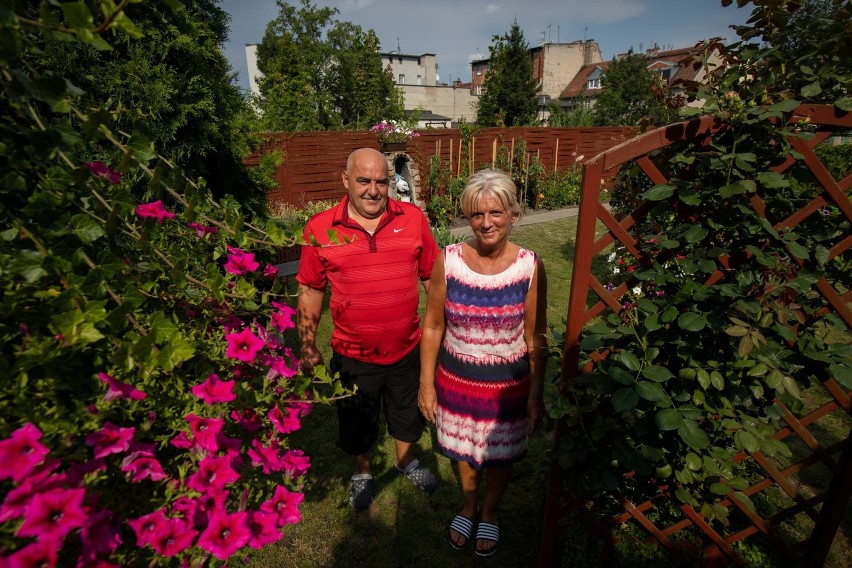 O ogród przy ul. Jasnej państwo Kulikowie dbają wspólnie....