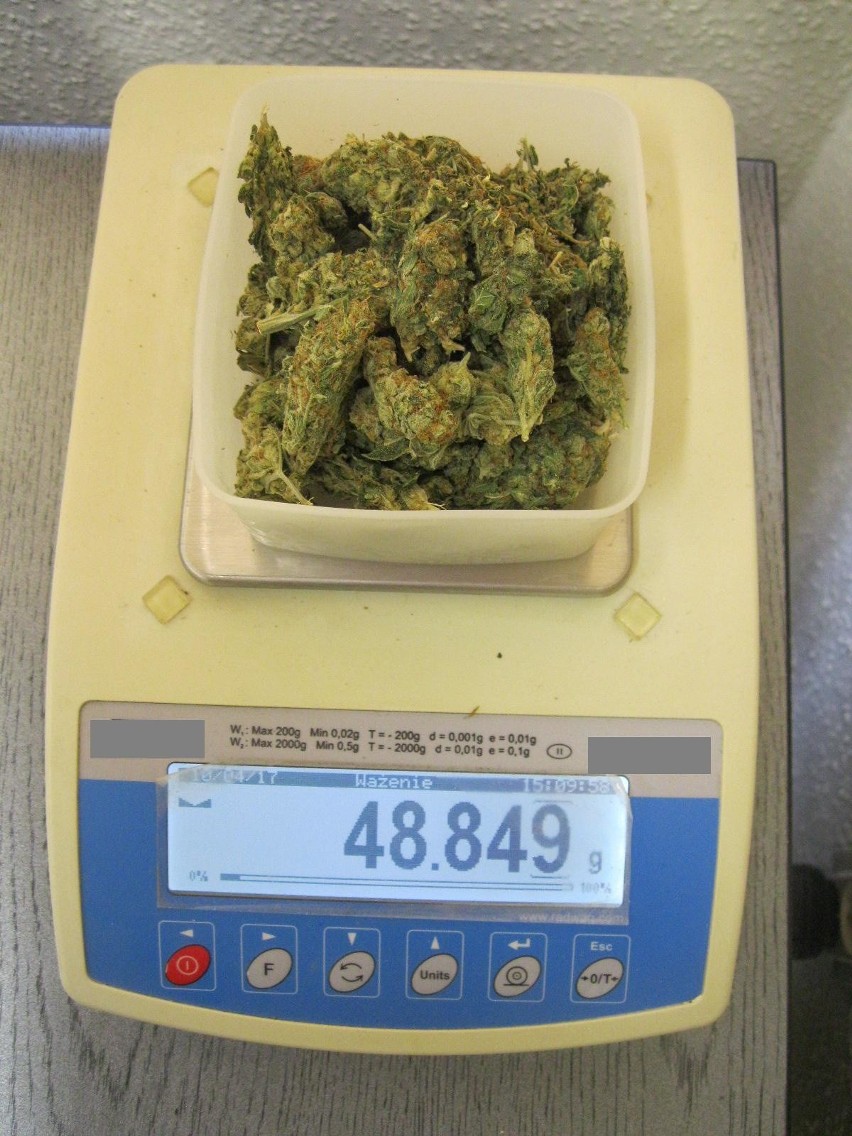 100 gramów marihuany w wynajmowanym mieszkanie. 22-latek zatrzymany