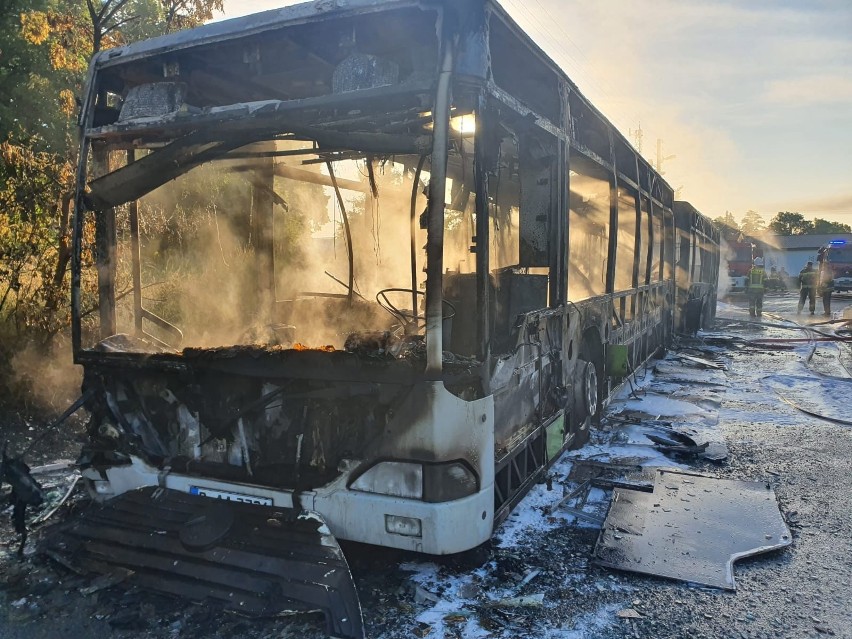 Pożar autobusu w gminie Dobra. Nikomu nic się nie stało [ZDJĘCIA]