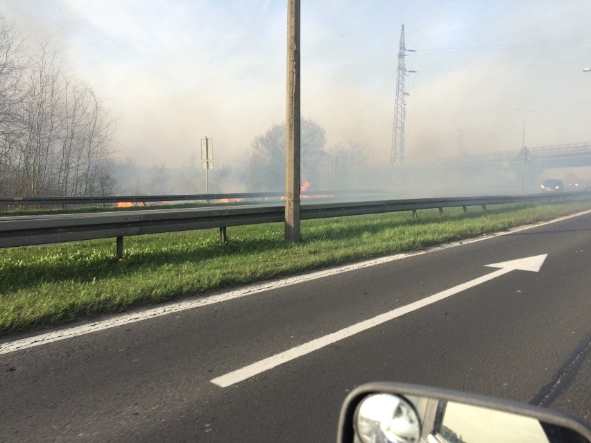 Pożar w Sosnowcu: Palą się łąki przy Auchan i Leroy Merlin