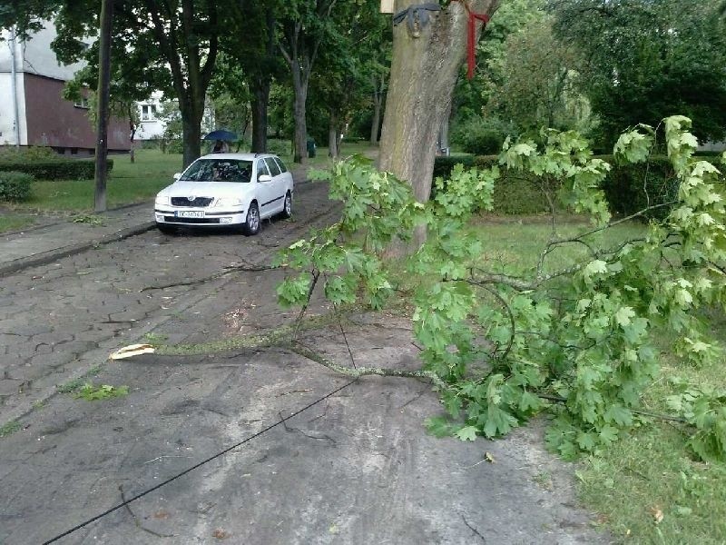 Połamane gałęzie na ulicy Stanisława Kostki w Kielcach.